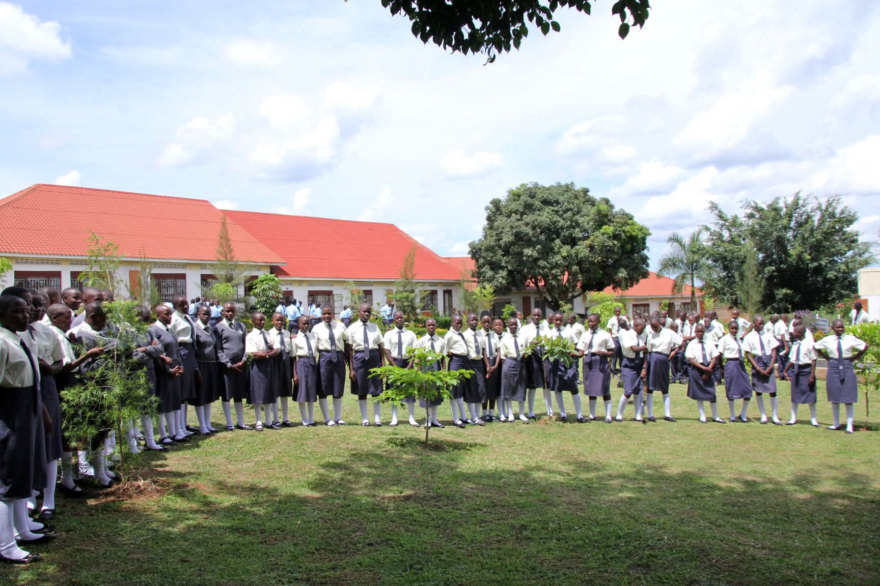 School Compound
